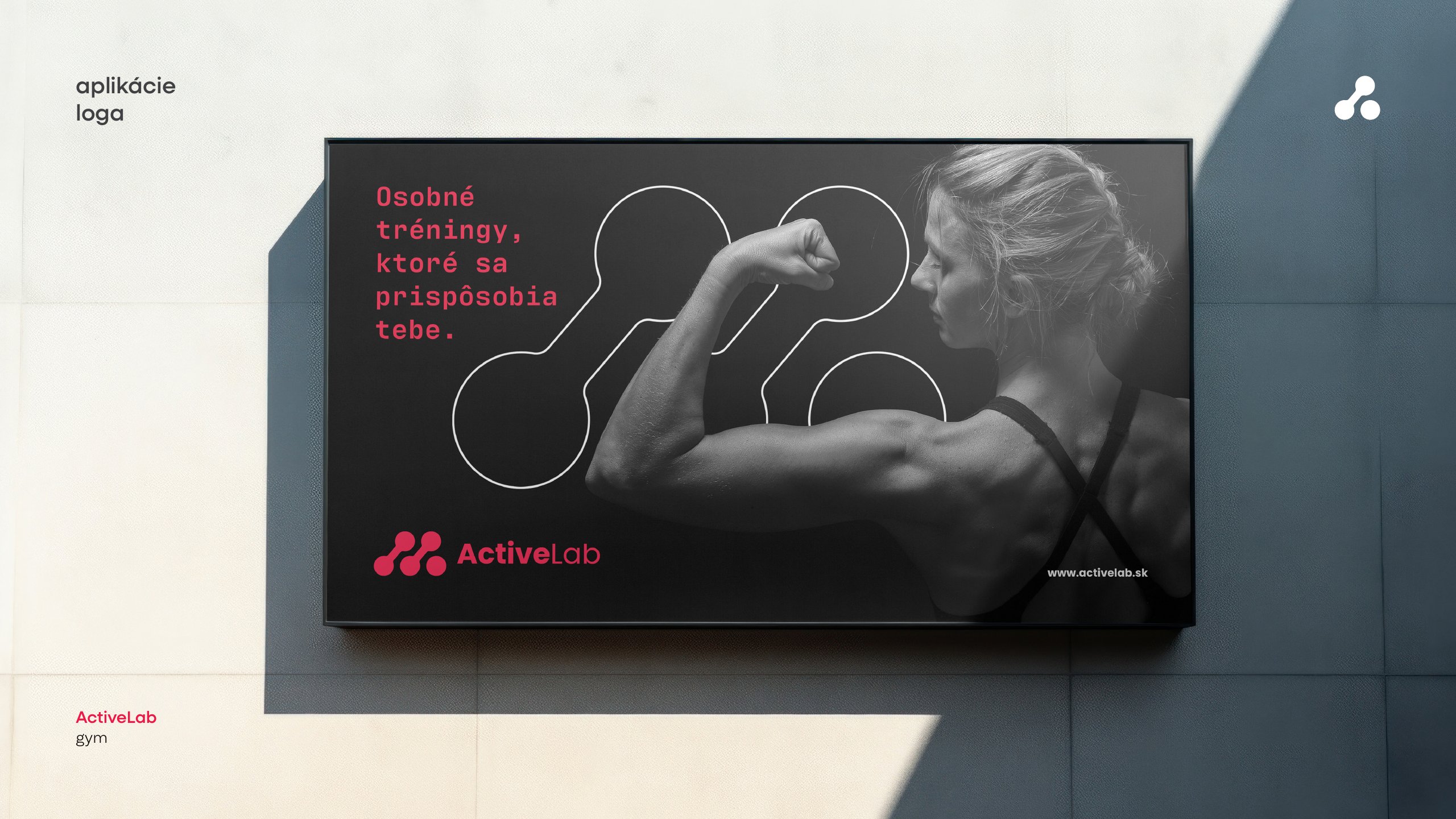 ActiveLab — dizajn manuál, strana 20